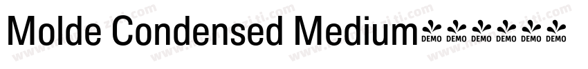 Molde Condensed Medium字体转换